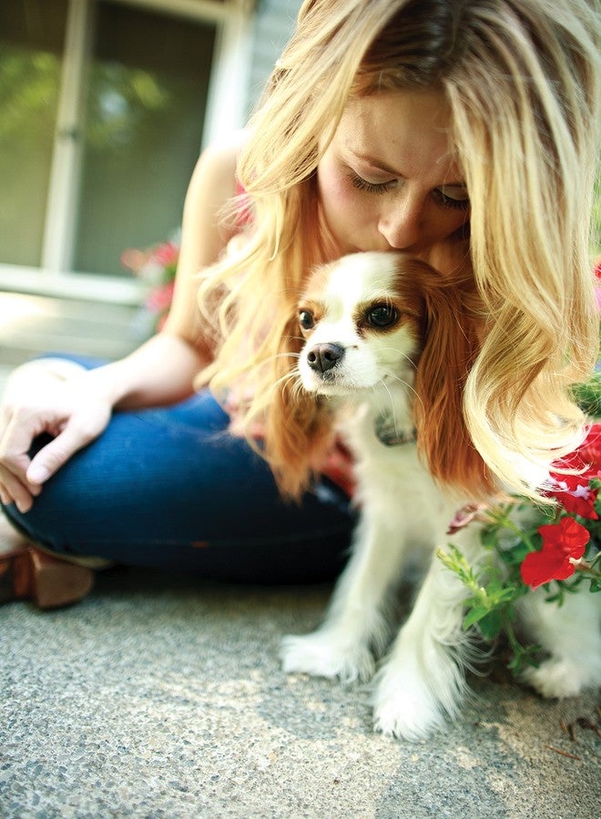 بيت سيف طوق استقبال PetSafe Elite للكلاب الصغيرة، مناسب للكلاب التي يزيد وزنها عن 5 أرطال، مقاوم للماء مع خاصية التنبيه الصوتي والتصحيح الساكن. - Image 5